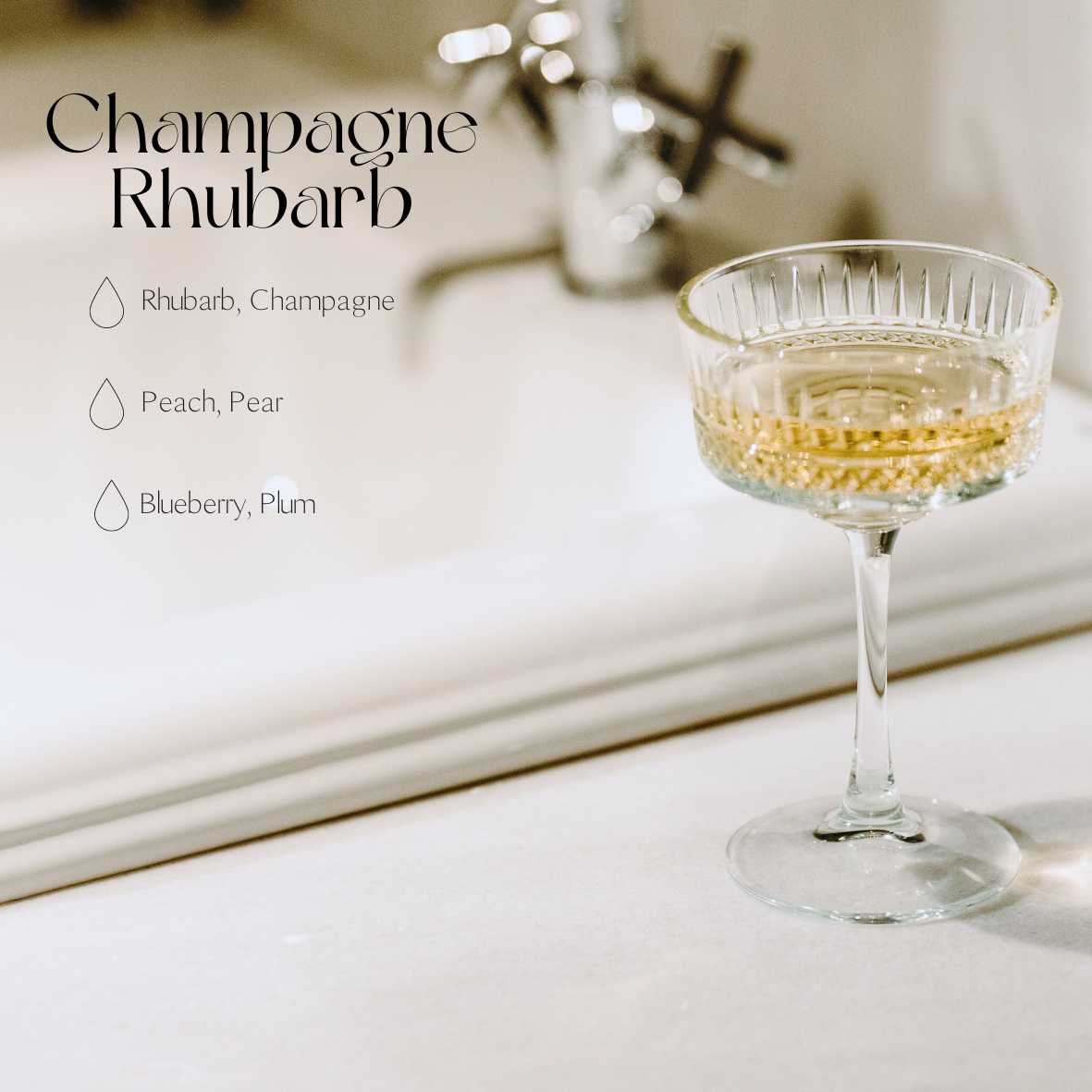 Champagne Rhubarb Car Diffuser Set-6
